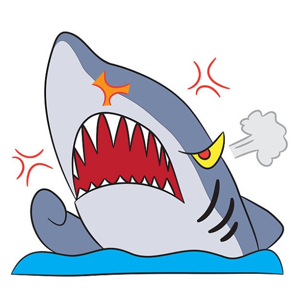 cartoon drawing angry shark