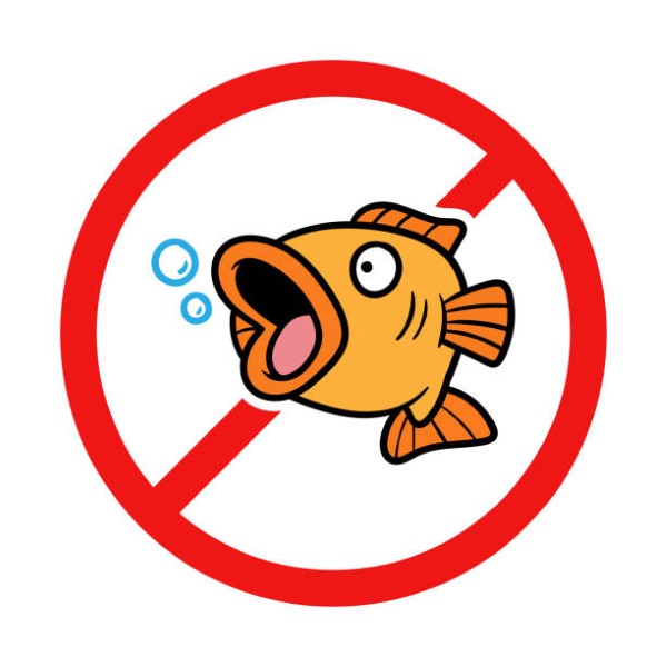No Fish Sign on White Background