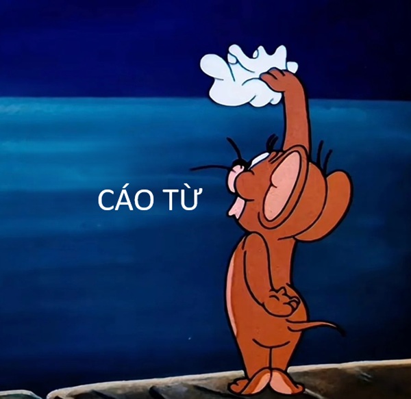 cáo từ meme 2