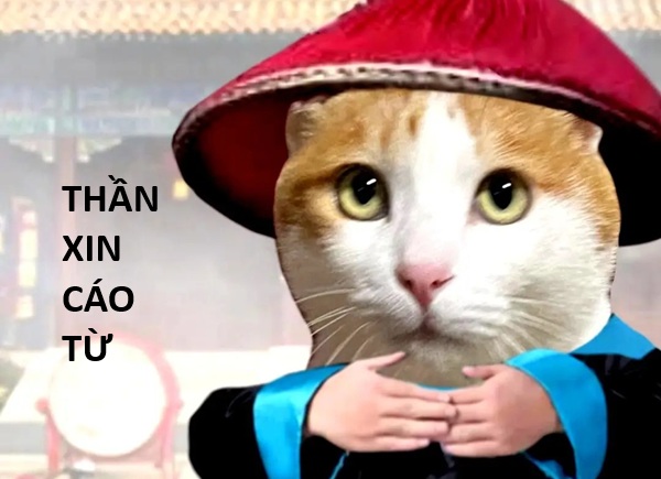 cáo từ meme trung quốc