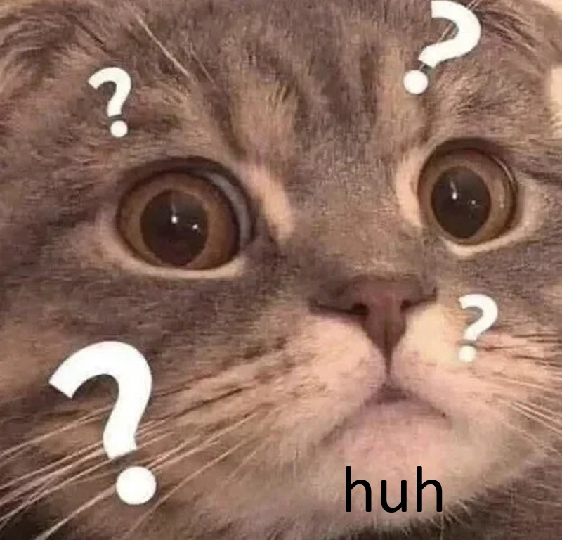 cat huh meme