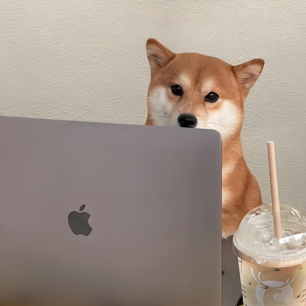 chạy deadline meme 44