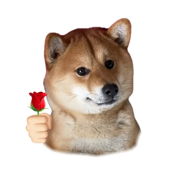 chó shiba meme 17