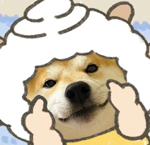 chó shiba meme 34