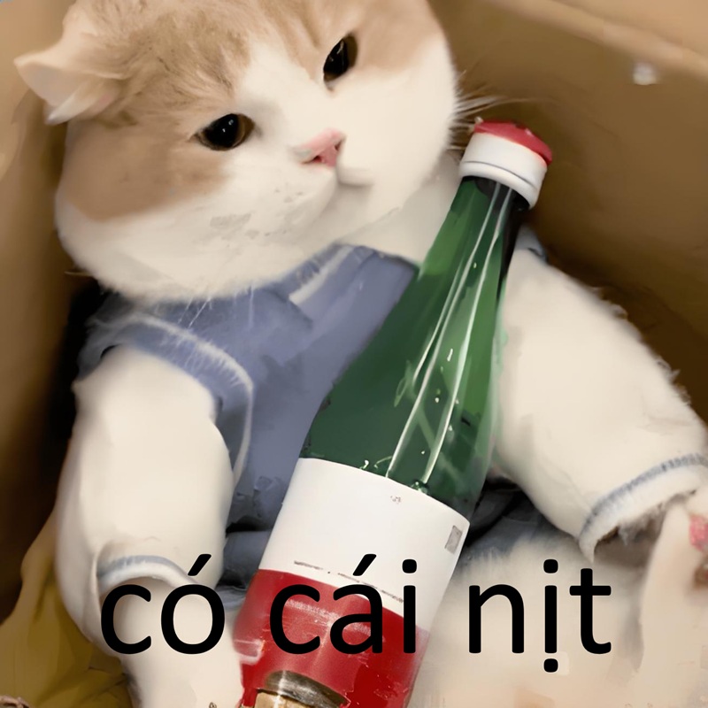 có cái nịt meme 21