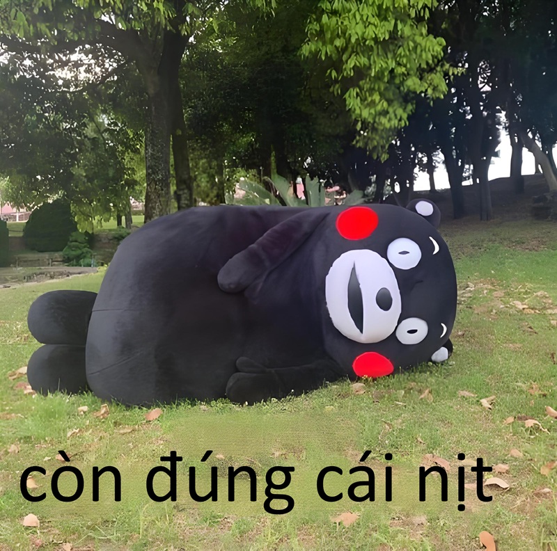 có cái nịt meme 24