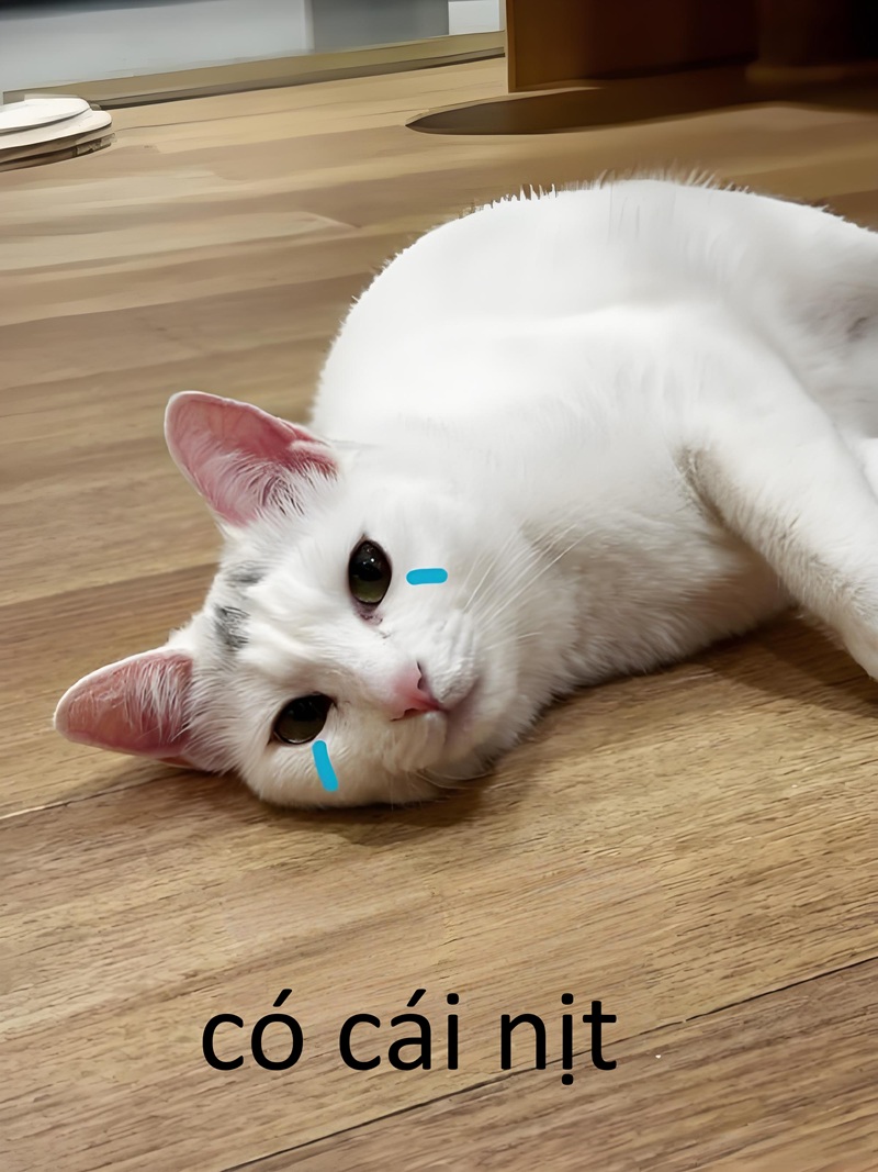 có cái nịt meme 25