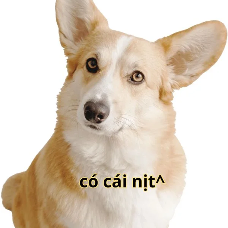 có cái nịt meme 27