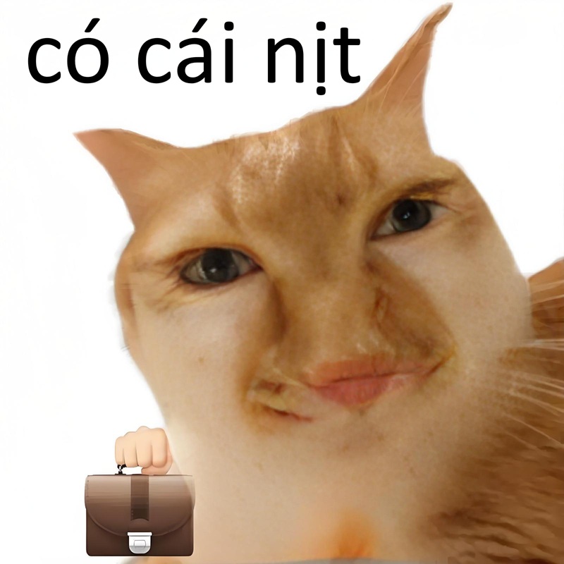 có cái nịt meme 28