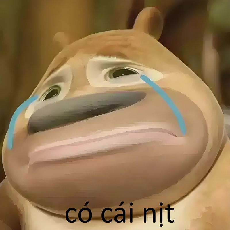 có cái nịt meme 3
