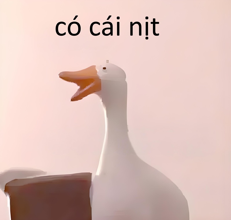 có cái nịt meme 30