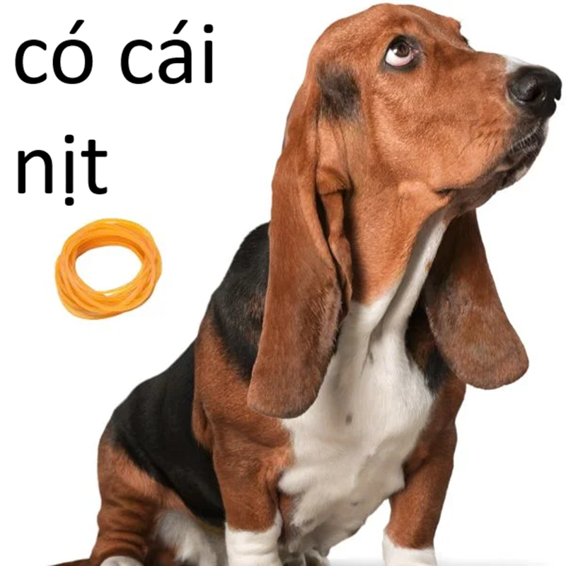 có cái nịt meme 39