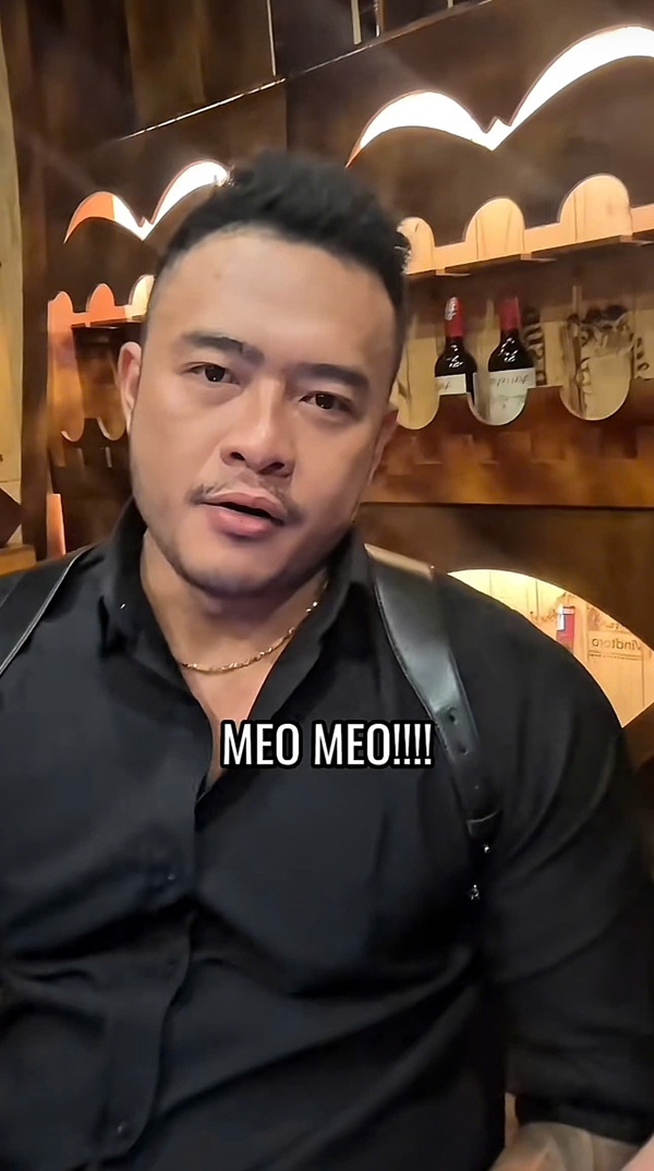 con mèo kêu con mèo kêu chị phiến meme
