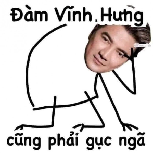 đàm vĩnh hưng meme 11