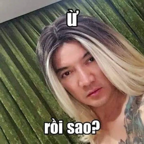 đàm vĩnh hưng meme 12