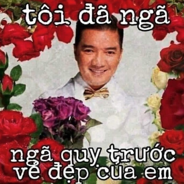 đàm vĩnh hưng meme 14