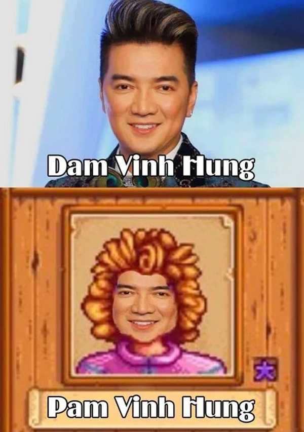 đàm vĩnh hưng meme 5