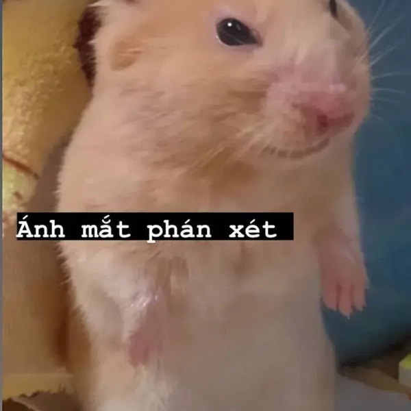 đánh giá meme 32
