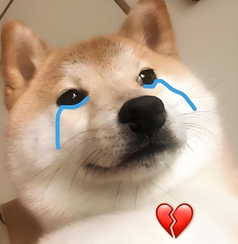 đau ở đây này meme 3