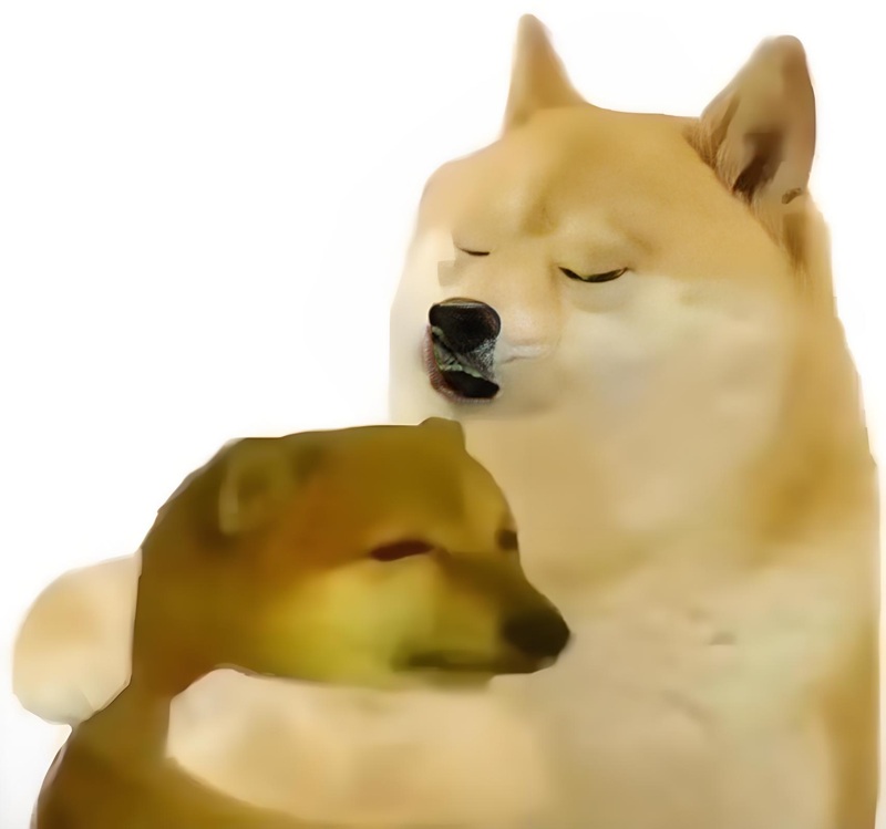 doge meme 1