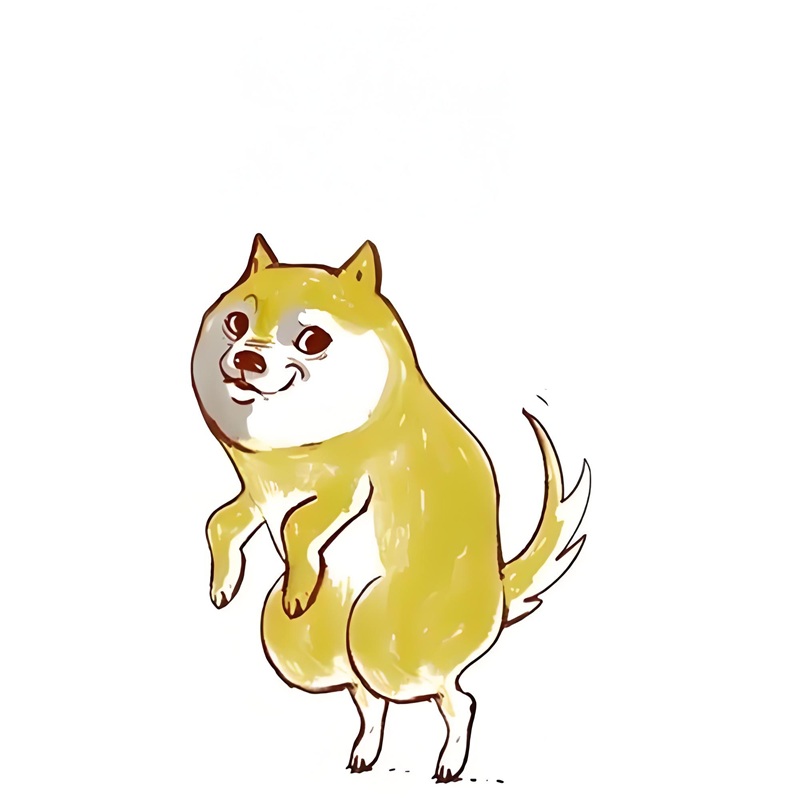 doge meme 10