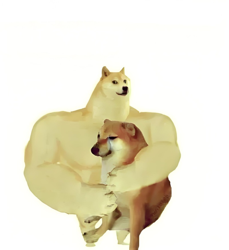 doge meme 11