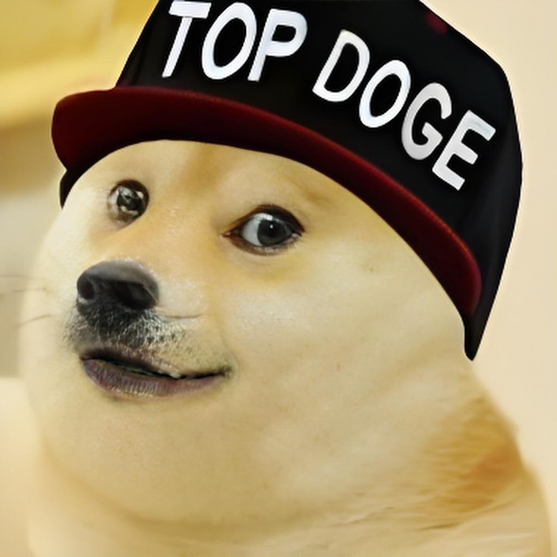 doge meme 12