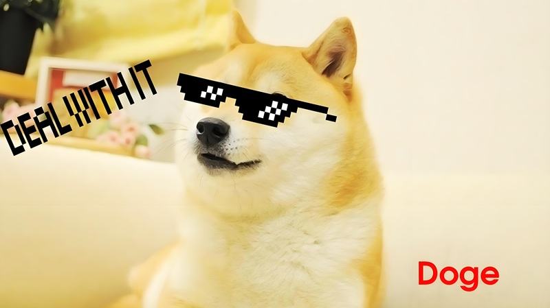 doge meme 14