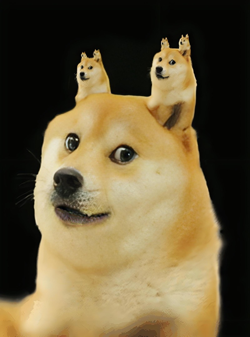 doge meme 17
