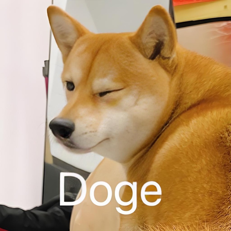 doge meme 2