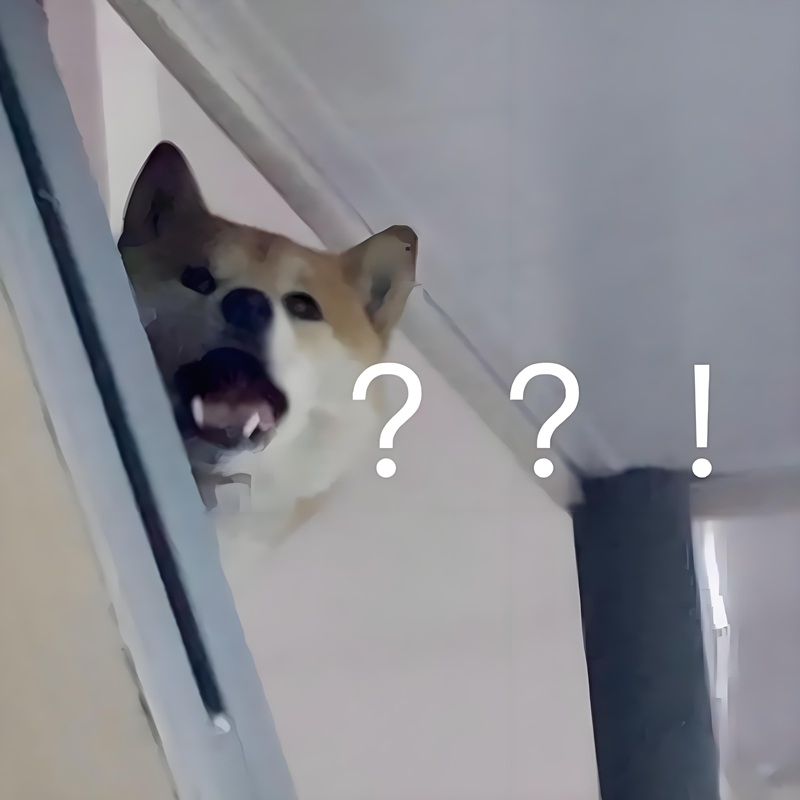 doge meme 24