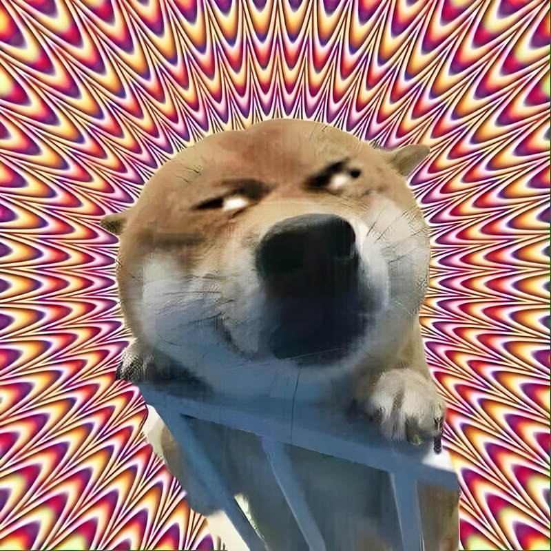 doge meme 27