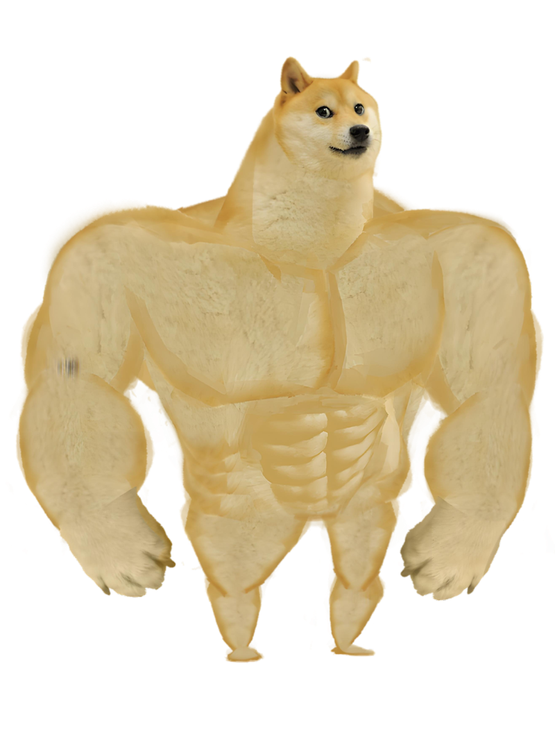 doge meme 3