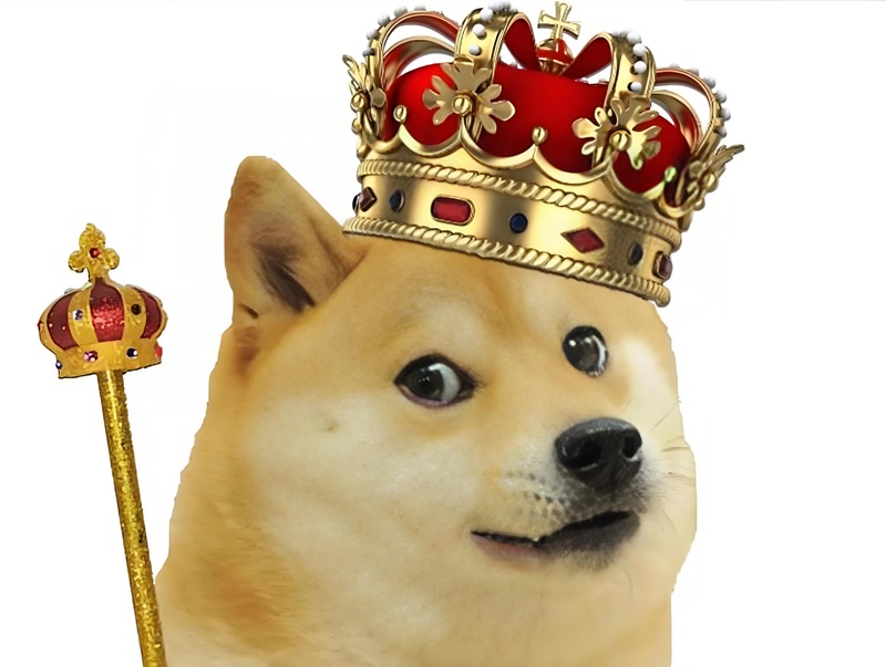 doge meme 30