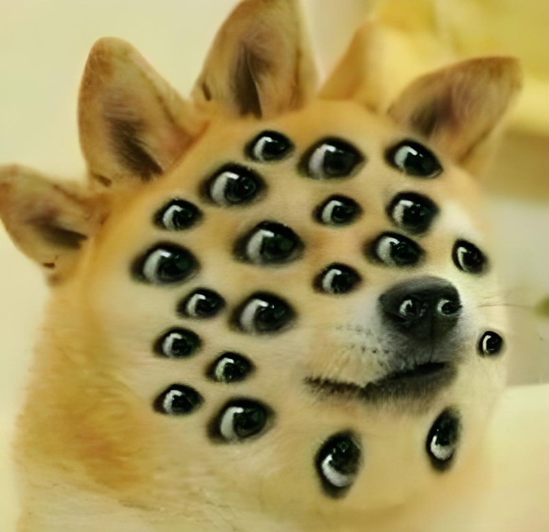 doge meme 35
