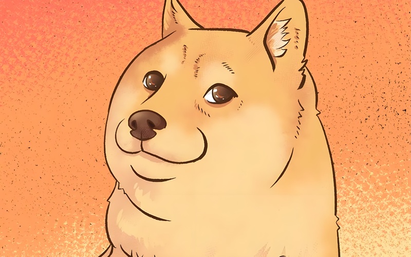 doge meme 36