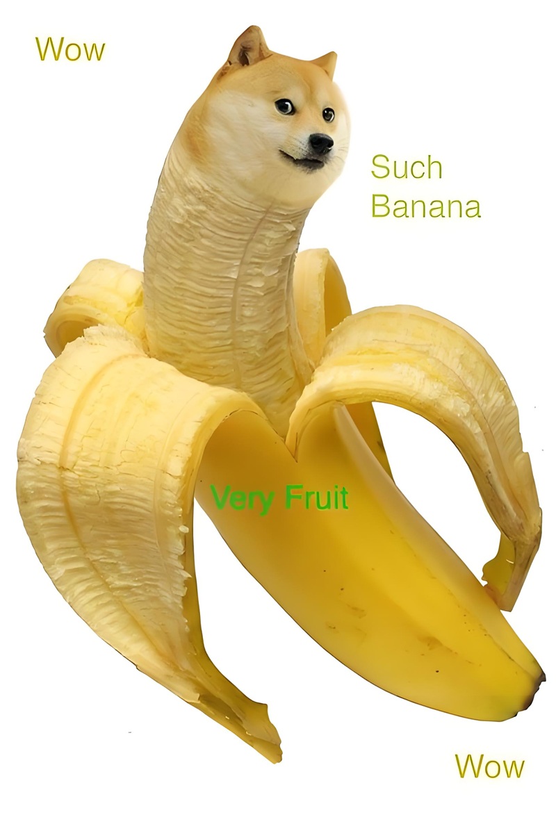 doge meme 37