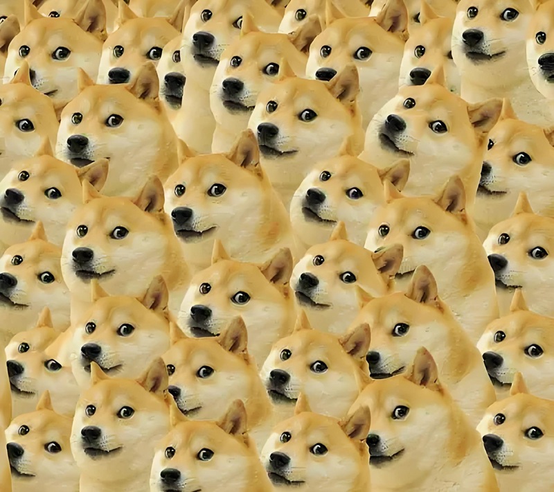 doge meme 39