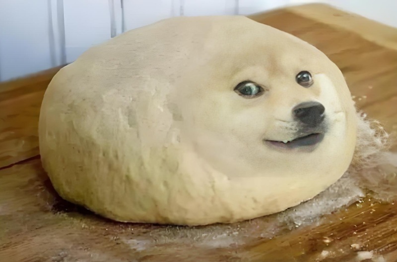 doge meme 40