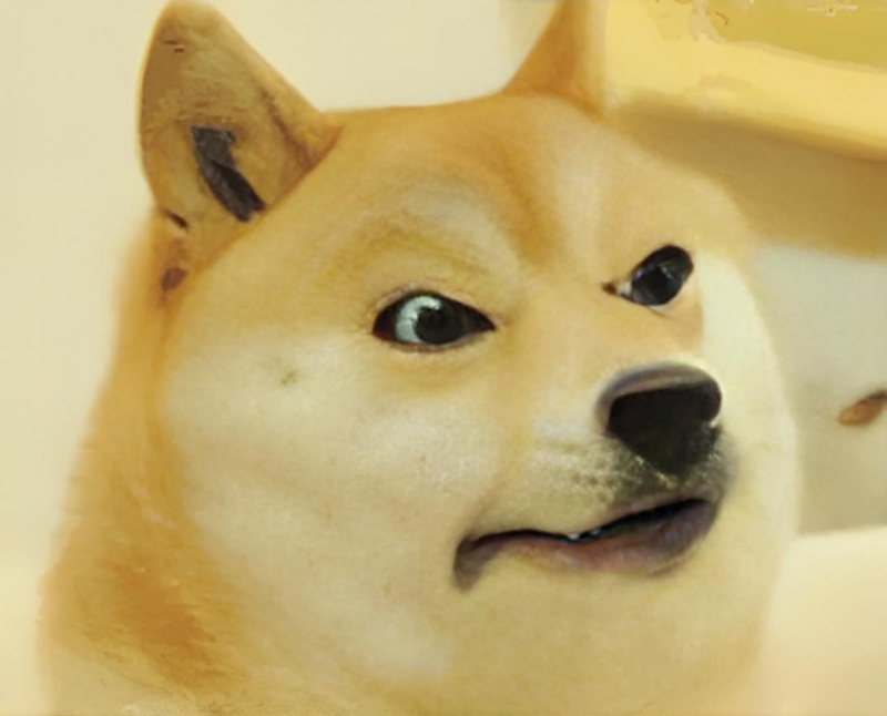 doge meme 8