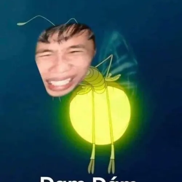đom đóm meme 33
