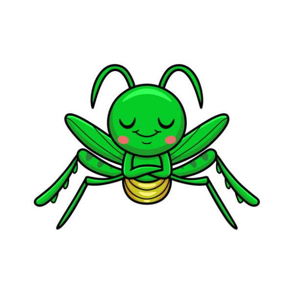 Vector Illustration of Cute little mantis cartoon sleeping