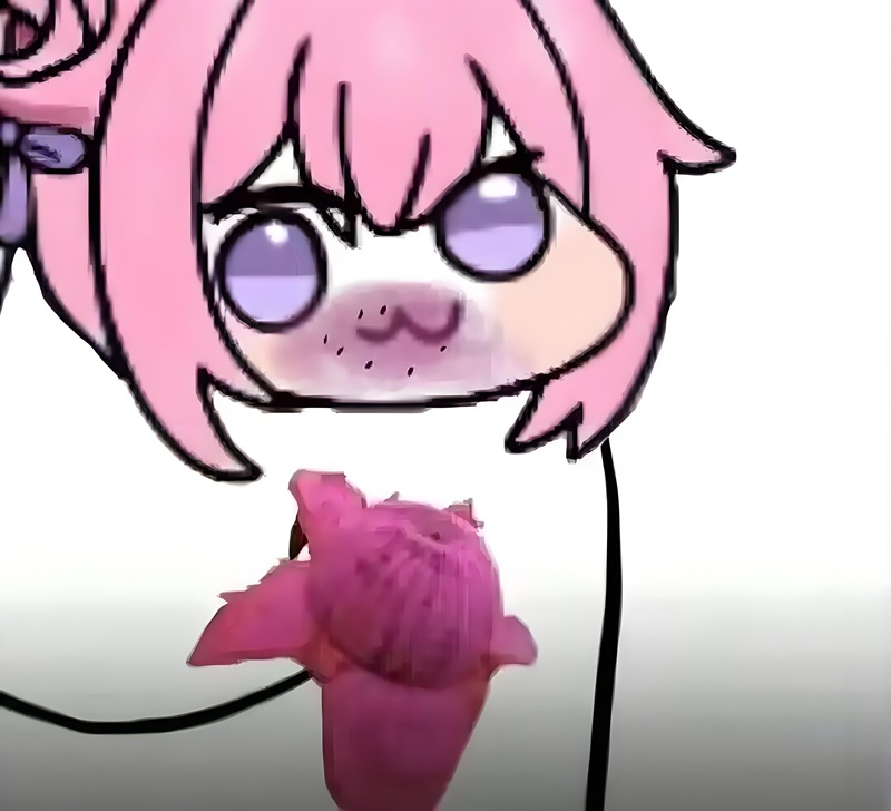 doro meme 16