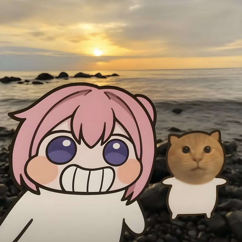 doro meme 6