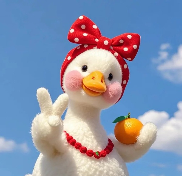 duck vịt meme 23
