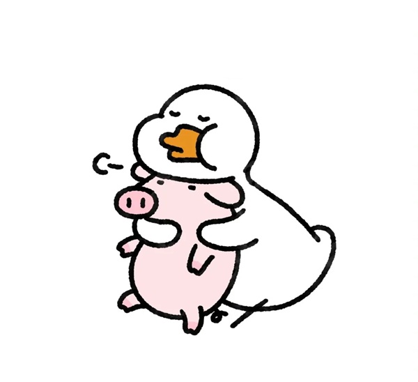 duck vịt meme 31
