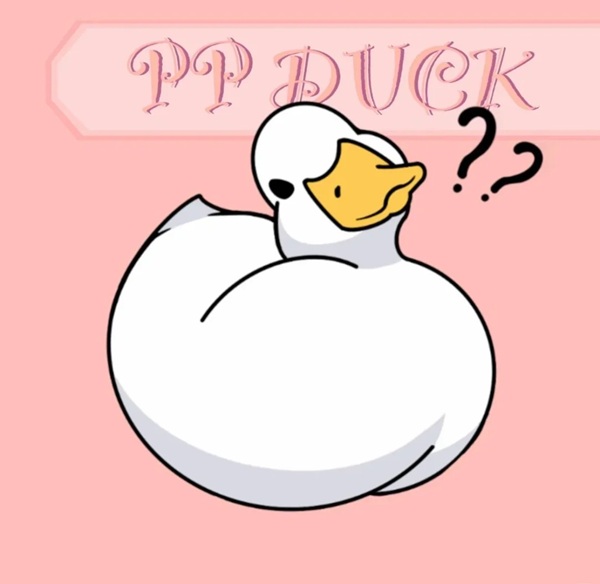 duck vịt meme 37