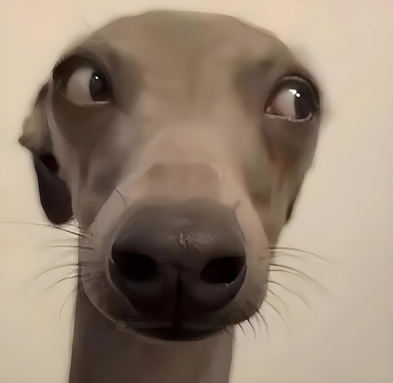 freaky meme 35