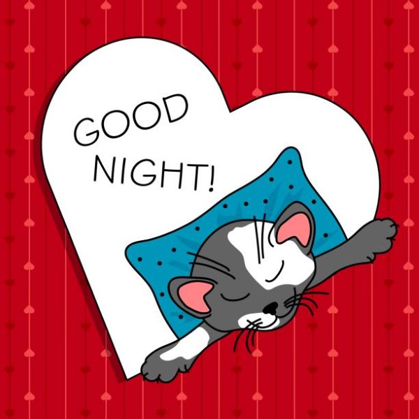 Cute cat sleeping on a pillow in a heart.