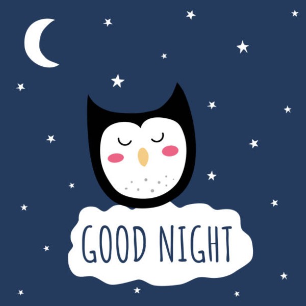 Children’s illustration with an owl wishing good night